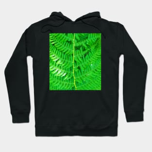 Green Forest Leaf Hoodie